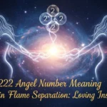 222 angel number meaning twin flame separation