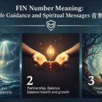 fin number meaning