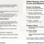 numerology number 2 meaning